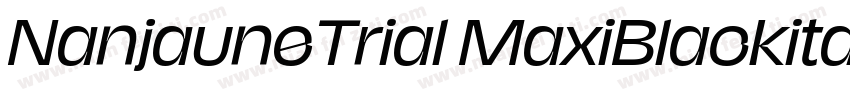 NanjauneTrial MaxiBlackitalic字体转换